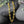 14k Yellow Gold Puffed Mariner Link Chain (6.80 mm)