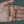 14k Yellow Gold Puffed Mariner Link Chain (6.80 mm)