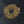 14k Yellow Gold Foxtail Chain (1.00 mm)