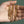 14k Yellow Gold Solid Curb Chain (10.00 mm)