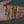 10k Yellow Gold Light Miami Cuban Chain (7.00 mm)