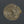 14k Two Tone Gold Pave Curb Chain (3.20 mm)
