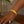 Sterling Silver Yellow Gold Plated Standard Thick Tubogas Bracelet (12.00 mm)