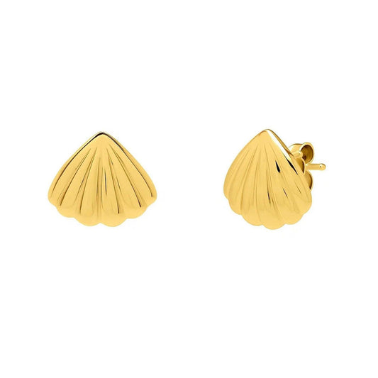 Sea Shell Stud Earrings in 10K Yellow Gold
