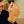 External Video