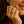 External Video
